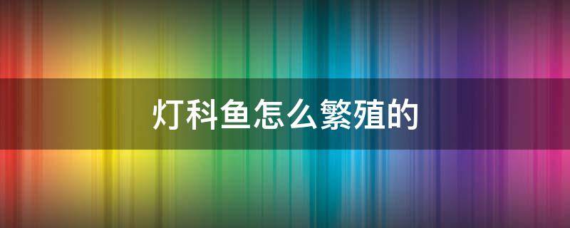 灯科鱼怎么繁殖的 灯科鱼怎么繁殖的视频