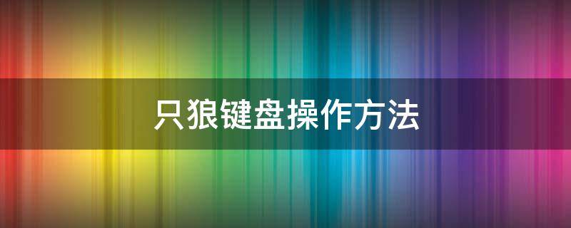 只狼键盘操作方法（只狼键盘基本操作）