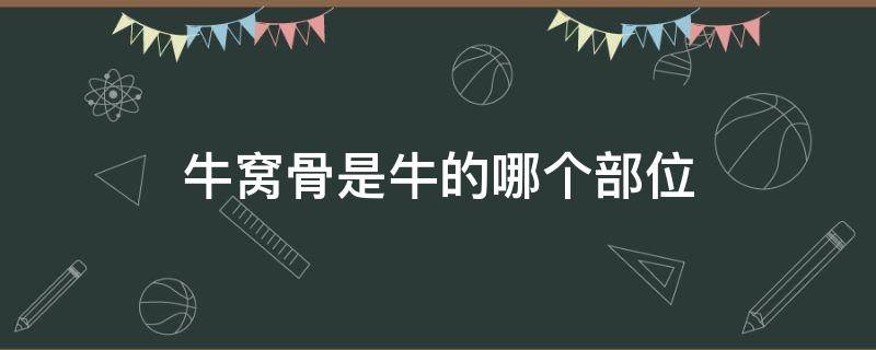 牛窝骨是牛的哪个部位（牛窝骨是牛的哪个部位图解）