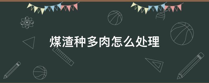 煤渣种多肉怎么处理（煤渣种多肉怎么处理视频）