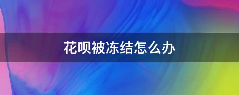 花呗被冻结怎么办 花呗被冻结怎么办 花呗无法使用怎么办