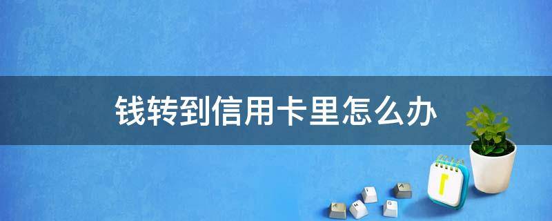 钱转到信用卡里怎么办（把钱转进了信用卡怎么办）