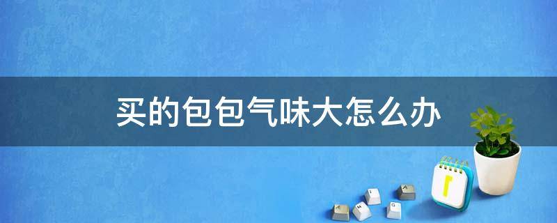 买的包包气味大怎么办（新买的包包气味很大怎么办）