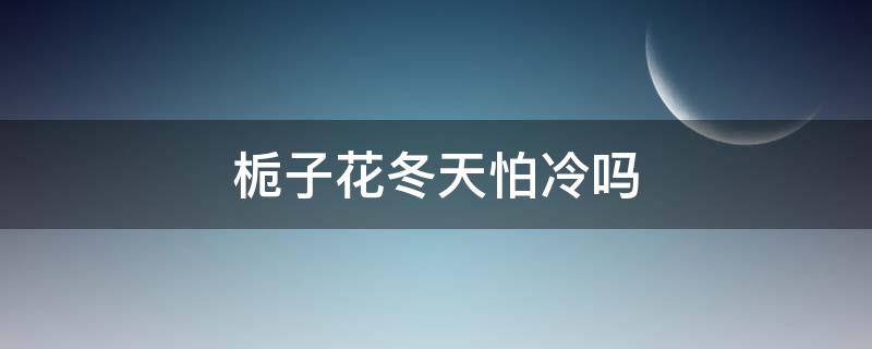 栀子花冬天怕冷吗 栀子花冬天怕不怕冷