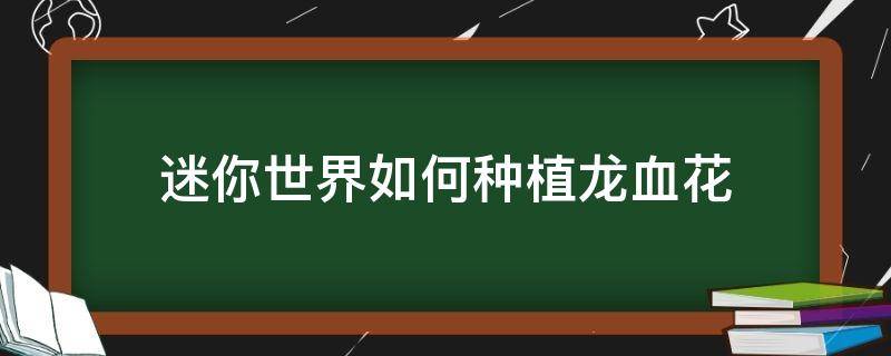 迷你世界如何种植龙血花（迷你世界龙血花怎么找）