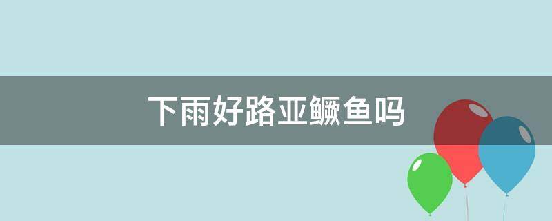 下雨好路亚鳜鱼吗（大雨过后可以路亚鳜鱼吗）