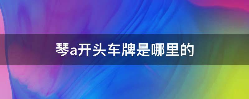 琴a开头车牌是哪里的（车牌琴a是哪里的车牌）