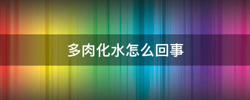 多肉化水怎么回事 多肉化水是怎么了