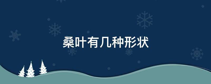 桑叶有几种形状 桑叶的叶子有几种