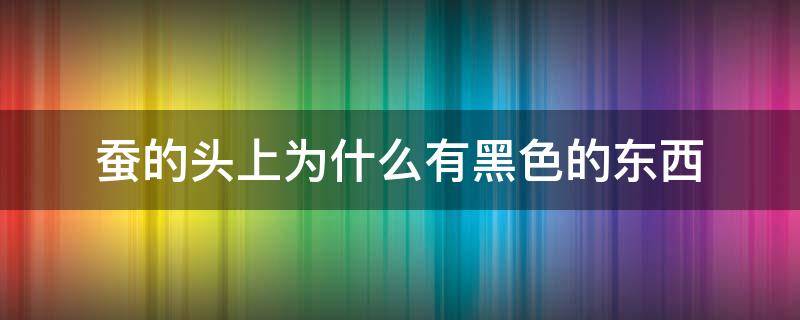 蚕的头上为什么有黑色的东西 蚕头部长了黑色的东西