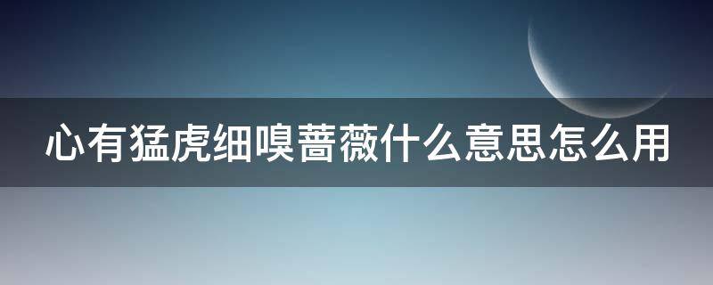 心有猛虎细嗅蔷薇什么意思怎么用（心有猛虎细嗅蔷薇什么意思啊）