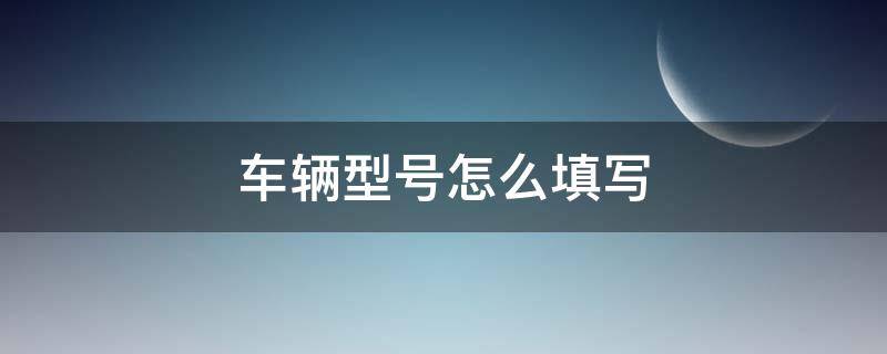 车辆型号怎么填写（电动车车辆品牌和车辆型号怎么填写）