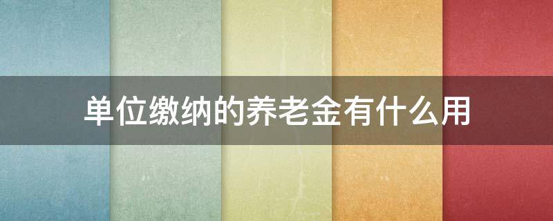 单位缴纳的养老金有什么用 单位交的养老金有什么用