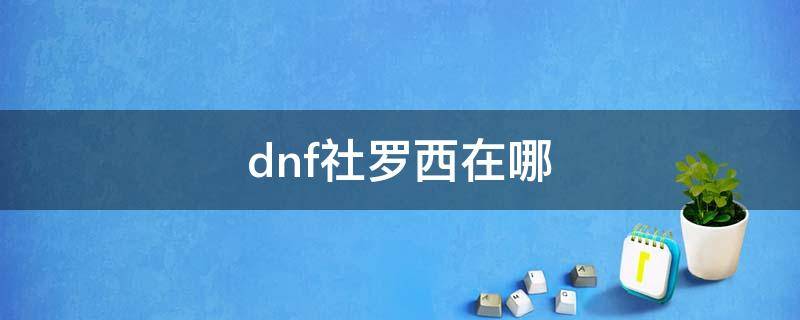 dnf社罗西在哪 dnf社罗西在哪里