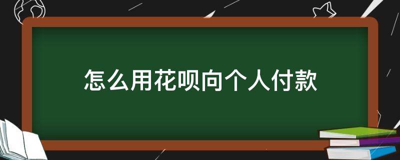 怎么用花呗向个人付款（怎么用花呗向个人付款额度）