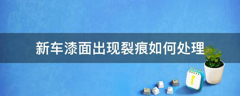 新车漆面出现裂痕如何处理（新车车漆有裂痕怎么办）