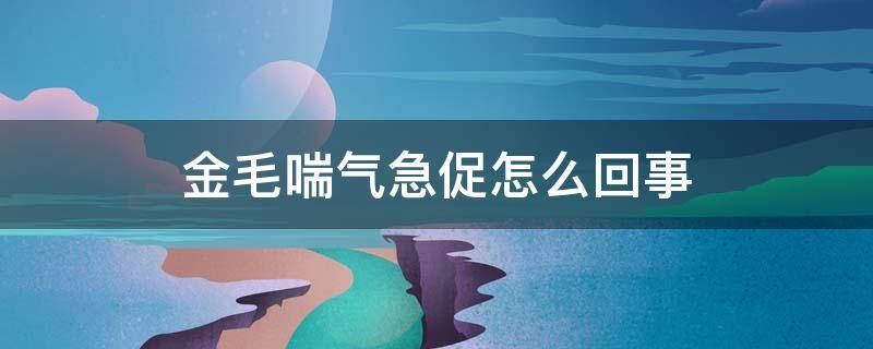 金毛喘气急促怎么回事（金毛喘气急促怎么回事,屁股有血）