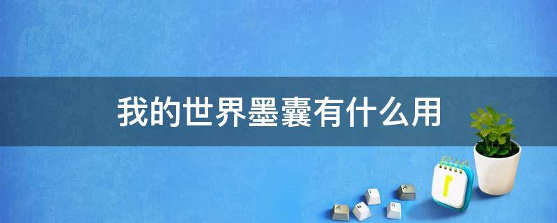 我的世界墨囊有什么用 我的世界手游墨囊怎么获得