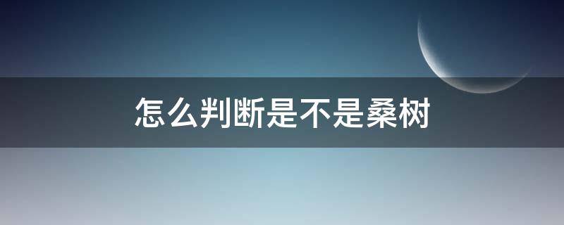 怎么判断是不是桑树 怎么判断是不是桑树叶