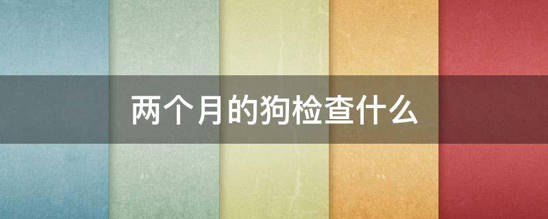 两个月的狗检查什么（狗狗两个月是什么样的）