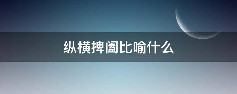 纵横捭阖比喻什么（纵横捭阖形容什么）