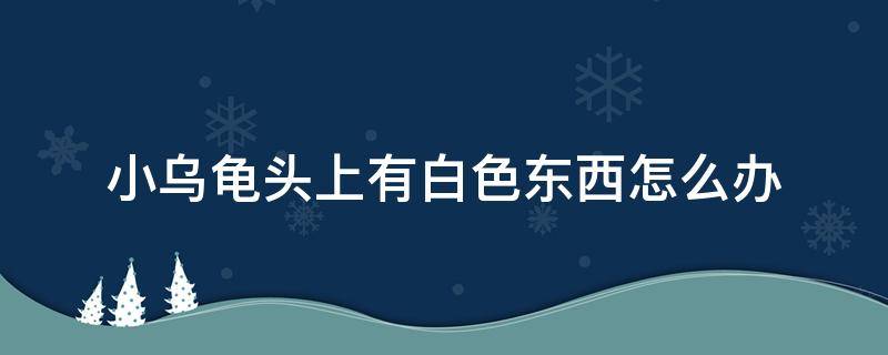 小乌龟头上有白色东西怎么办 小乌龟的头上有白色的东西