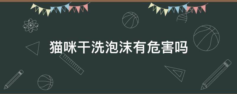 猫咪干洗泡沫有危害吗（宠物猫干洗泡沫有危害吗?）