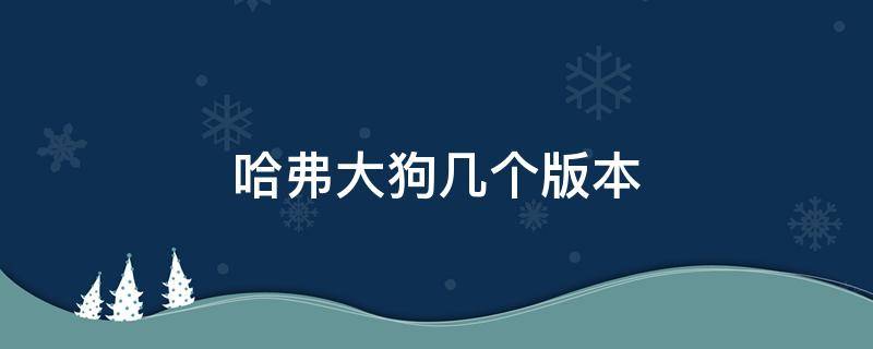 哈弗大狗几个版本（哈弗大狗几个版本外观有区别吗）