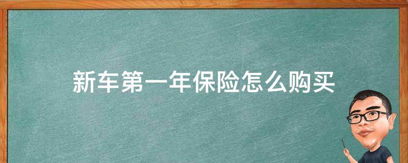 新车第一年保险怎么购买 一年的新车怎么买保险