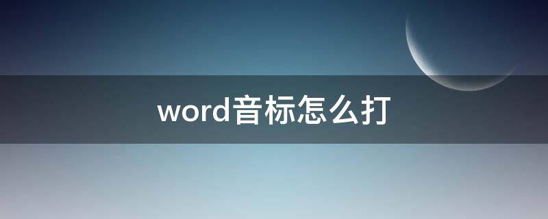 word音标怎么打（word 打音标）