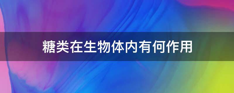 糖类在生物体内有何作用（糖类在生物体内的主要作用）