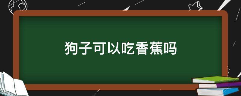 狗子可以吃香蕉吗（狗能够吃香蕉吗）