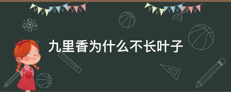 九里香为什么不长叶子（九里香为什么光长叶子不开花）