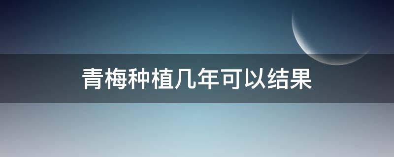 青梅种植几年可以结果 青梅种植三年能有多少产量