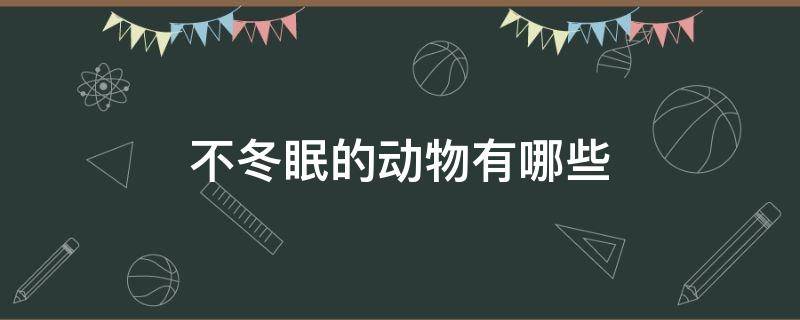 不冬眠的动物有哪些（不冬眠的动物有哪些动物）