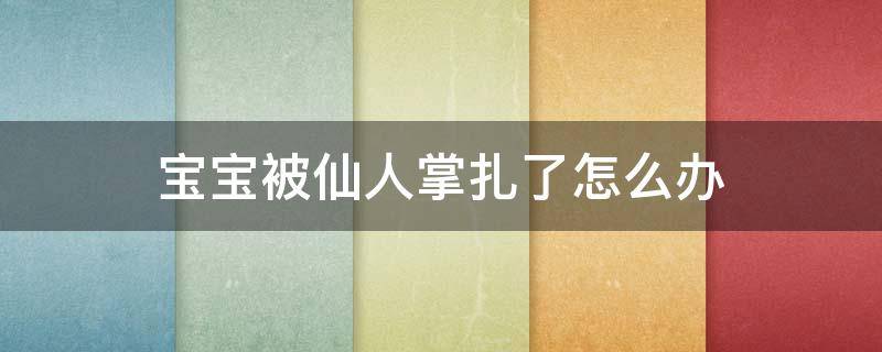 宝宝被仙人掌扎了怎么办 孩子手被仙人掌刺扎了该怎么办