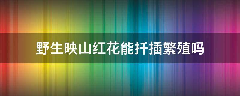 野生映山红花能扦插繁殖吗 野生映山红开花后可以移栽吗