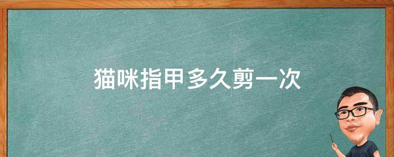 猫咪指甲多久剪一次 猫咪剪指甲多久剪一次