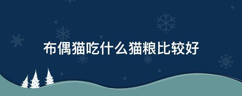 布偶猫吃什么猫粮比较好 四个月布偶猫吃什么猫粮比较好