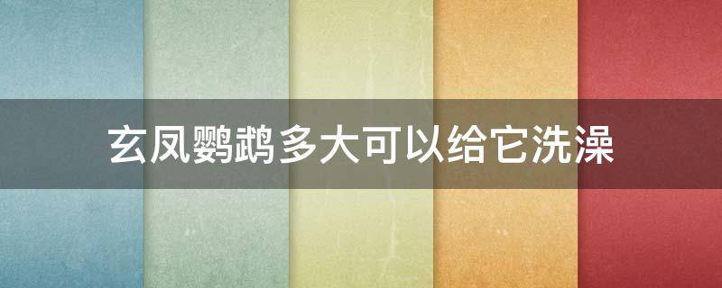 玄凤鹦鹉多大可以给它洗澡 能给玄凤鹦鹉洗澡吗