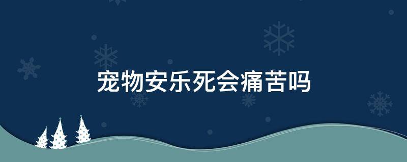 宠物安乐死会痛苦吗（宠物为什么要安乐死）