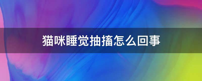 猫咪睡觉抽搐怎么回事（猫咪睡觉抽搐为什么）