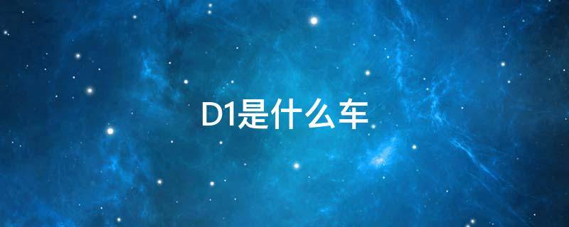 D1是什么车（d1是什么车型）