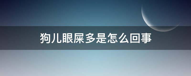 狗儿眼屎多是怎么回事（狗好多眼屎是什么情况）