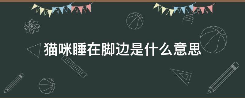 猫咪睡在脚边是什么意思 猫咪睡在脚边