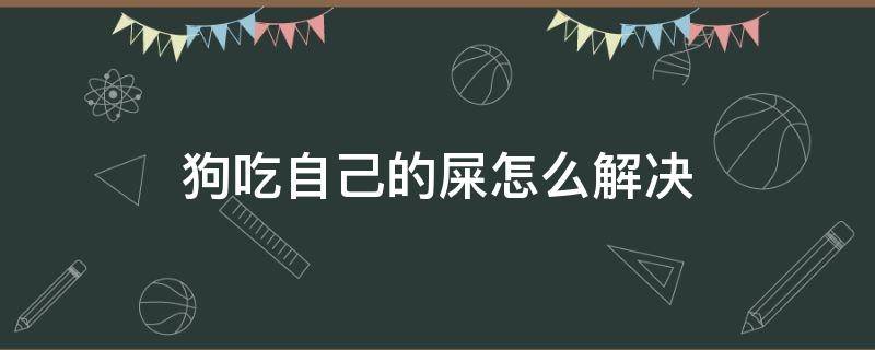 狗吃自己的屎怎么解决（狗吃自己的狗屎怎么办）