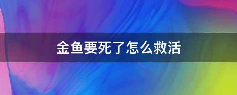 金鱼要死了怎么救活（金鱼死了用什么方法可以救活）