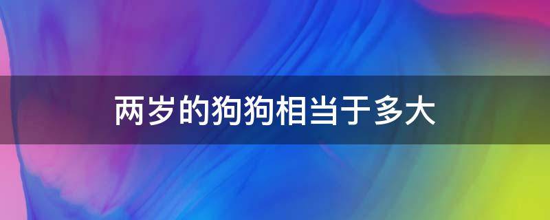 两岁的狗狗相当于多大 两岁的狗狗有多大