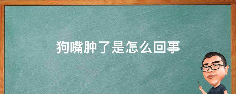 狗嘴肿了是怎么回事 狗嘴巴子肿了怎么回事