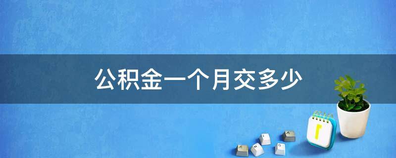 公积金一个月交多少（公积金一个月交多少钱）